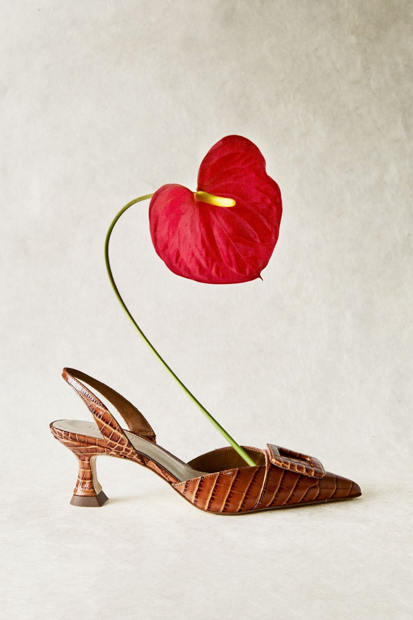 Stiletto NURIA Petite Coco Avellana